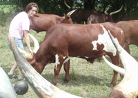 Gracie's Good At Scritching The Cows