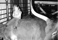 La Dorada Berry, Percentage Steer, Keeps Company With Liz Fritz At The 1991 American Royal Stock Show In KC. La Dorada Berry, Percentage Steer, Keeps Company With Liz Fritz At The 1991 American Royal Stock Show In KC.
