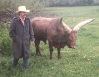 Doug With Bwana (Foundation Pure Bull).